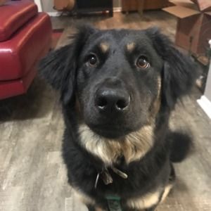 Meet your Posher, Kerry